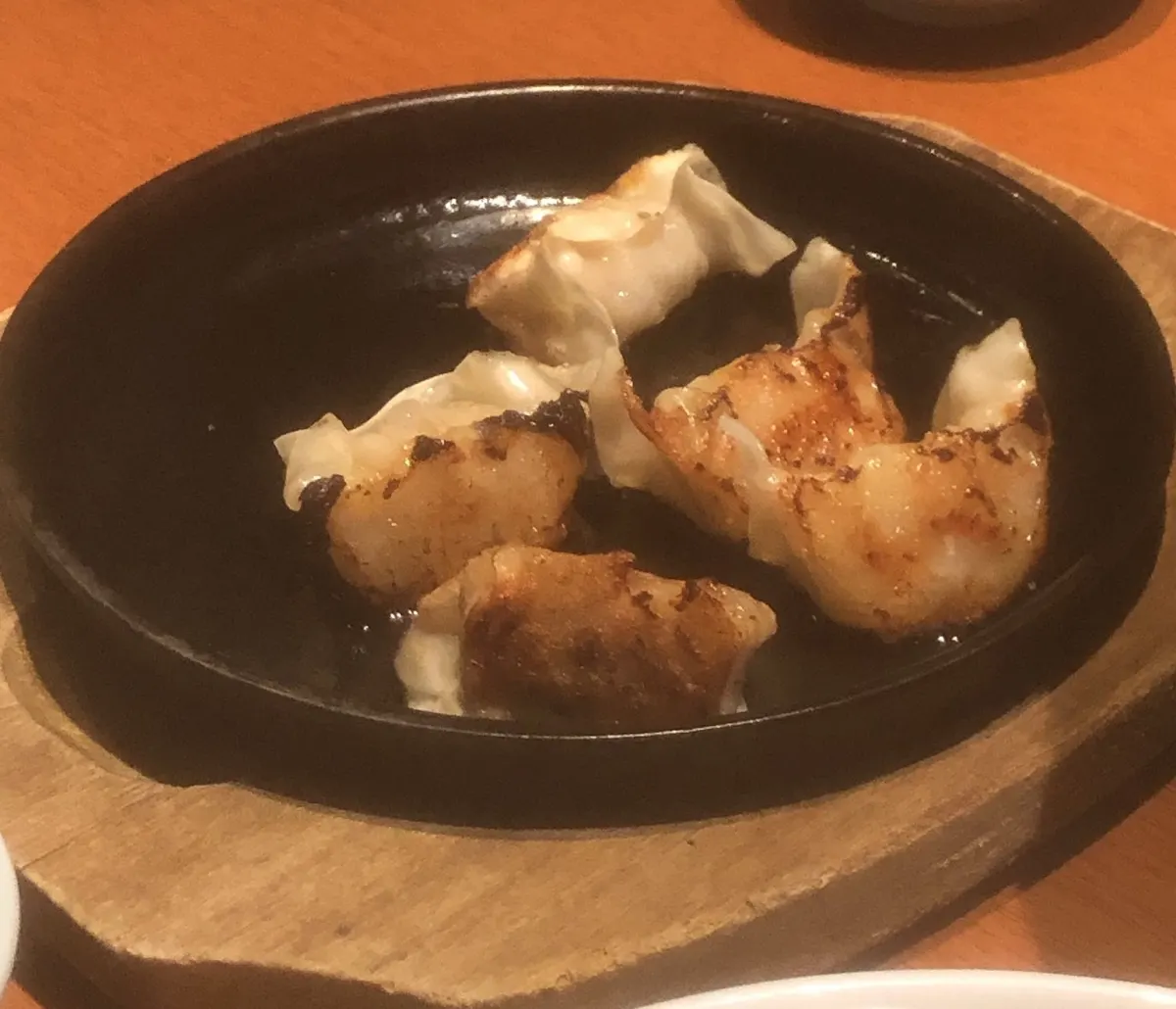 Gyoza (5)