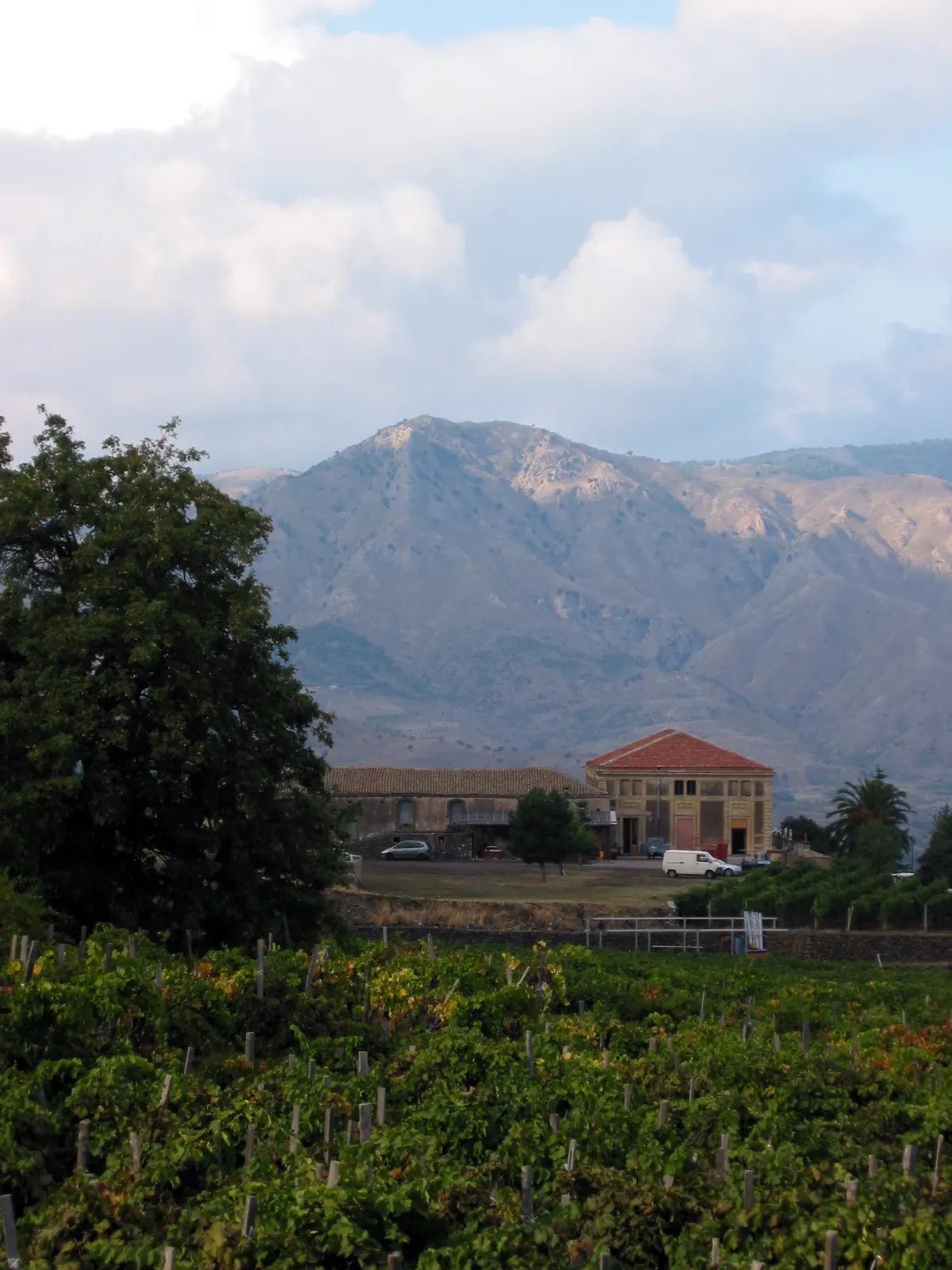 Etna Rosso