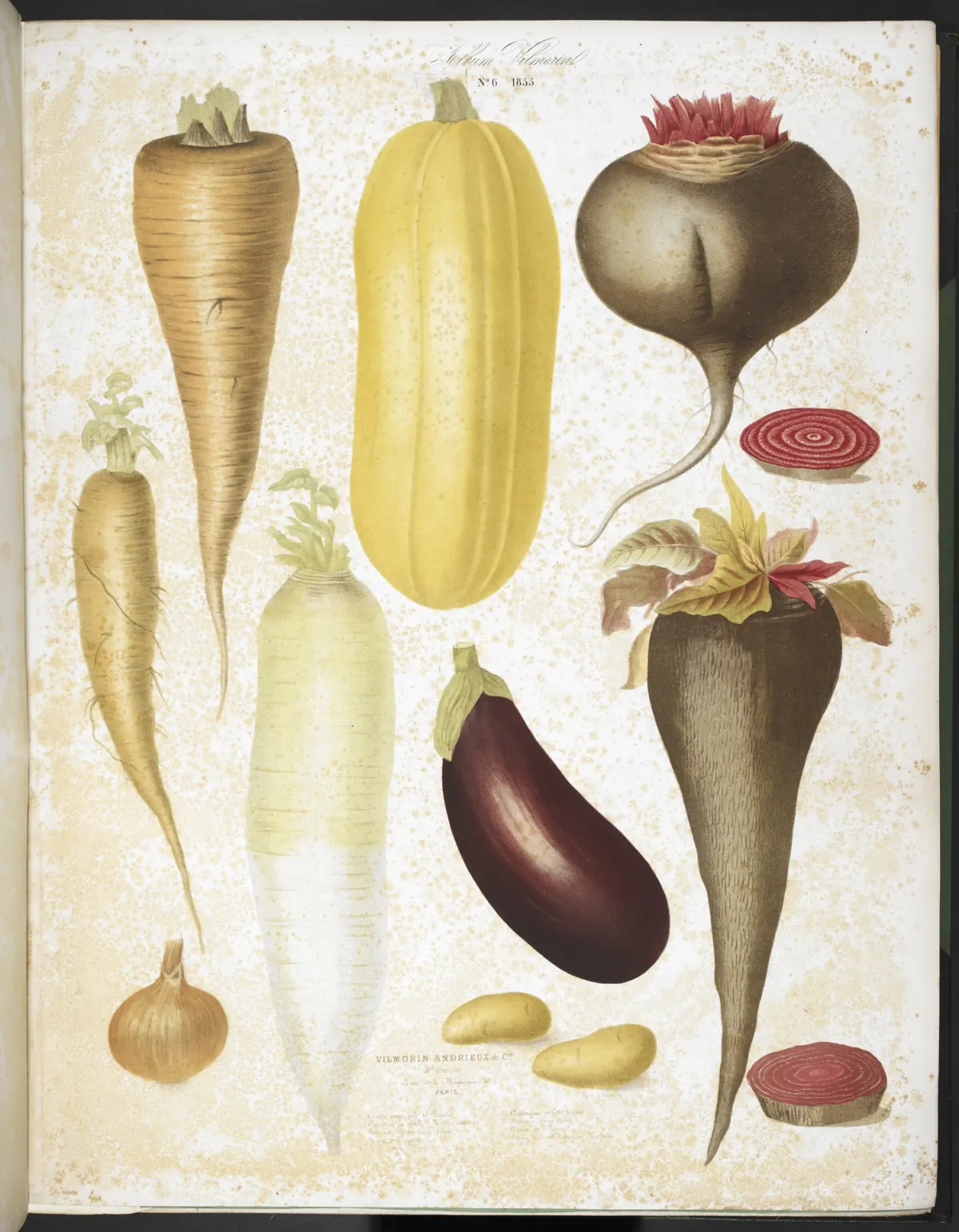 Root vegetables, barley