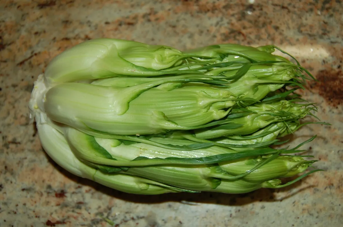 Puntarelle alla romana