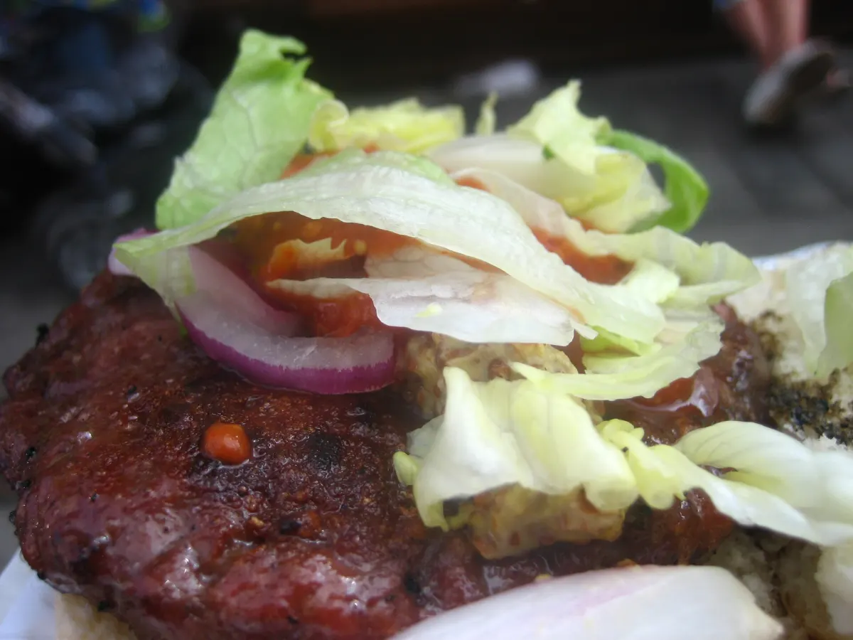 Venison burger